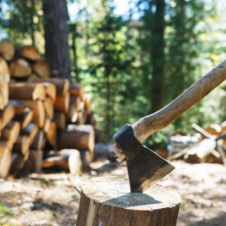 Seasoning Your Own Firewood - Nashville TN - Ashbusters cutting
