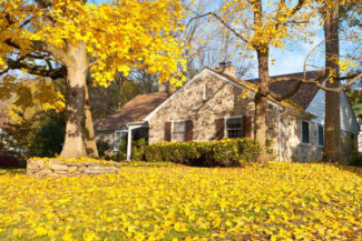 House in Autumn