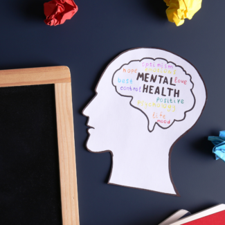 A cut-out of a human head with a brain drawn in it with the words "mental health" drawn in the brain